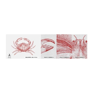 Fotobehang Monster Premium Canvas - Krab der krabben - Krab, Zeevruchten, Schelpdieren - 100x30 cm