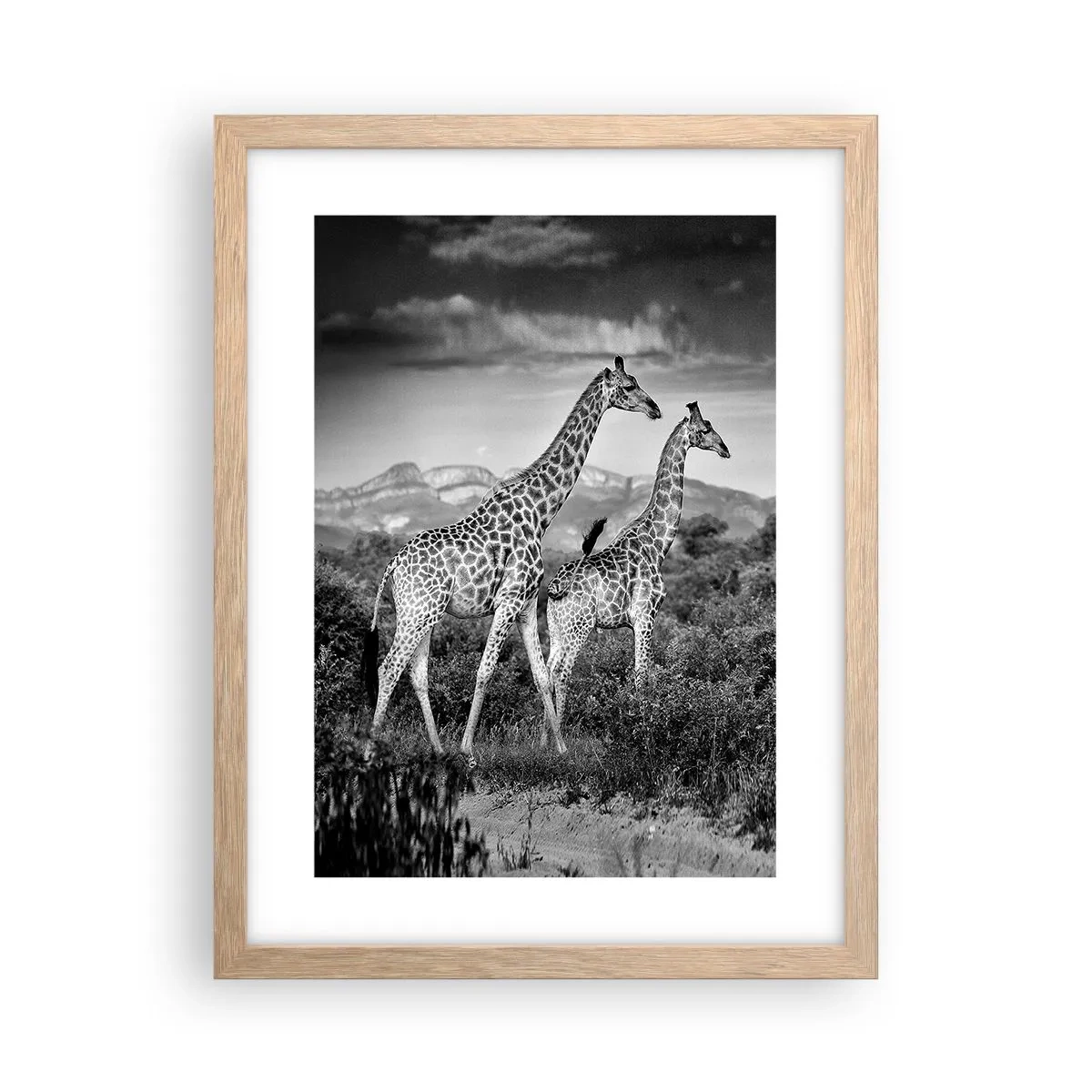 Een poster in een licht eiken lijst - Hoge sferen in Afrika - 30x40 cm