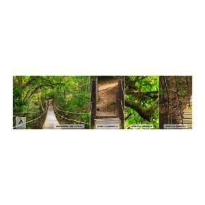 Fotobehang Monster Zelfklevend Deluxe Sticker - Want er staat een klimplant in de tuin - Landschap, Woud, Natuur - 100x30 cm