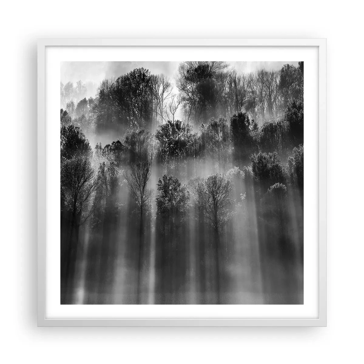 Poster in een witte lijst - In stromen van licht - 60x60 cm