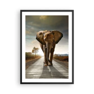 Poster in een zwarte lijst - Een olifant die bij zonsondergang langs de weg loopt - 50x70cm - En helemaal niet in een porseleinen pakhuis - Moderne wanddecoratie voor woonkamer en slaapkamer ARTTOR