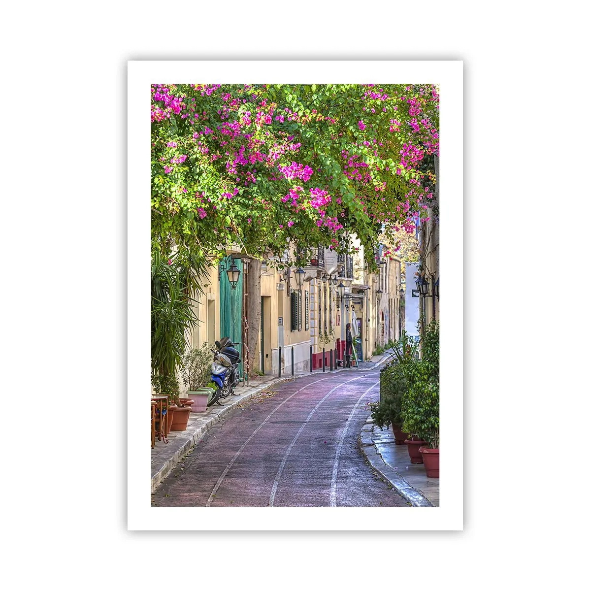 Poster - Bloeiende steeg - 50x70 cm