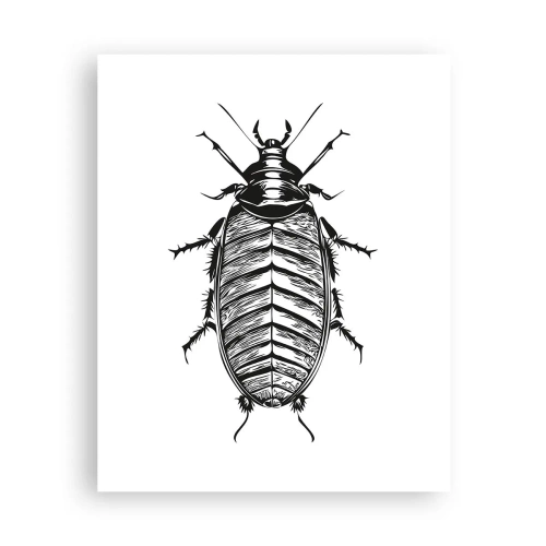 Poster - Wat een exemplaar! - 40x50 cm