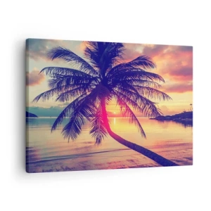 Schilderen op canvas - Zonsondergang met een palmboom boven een rustige kust - 70x50cm - Avond onder de palmbomen - Moderne wanddecoratie voor woonkamer en slaapkamer ARTTOR