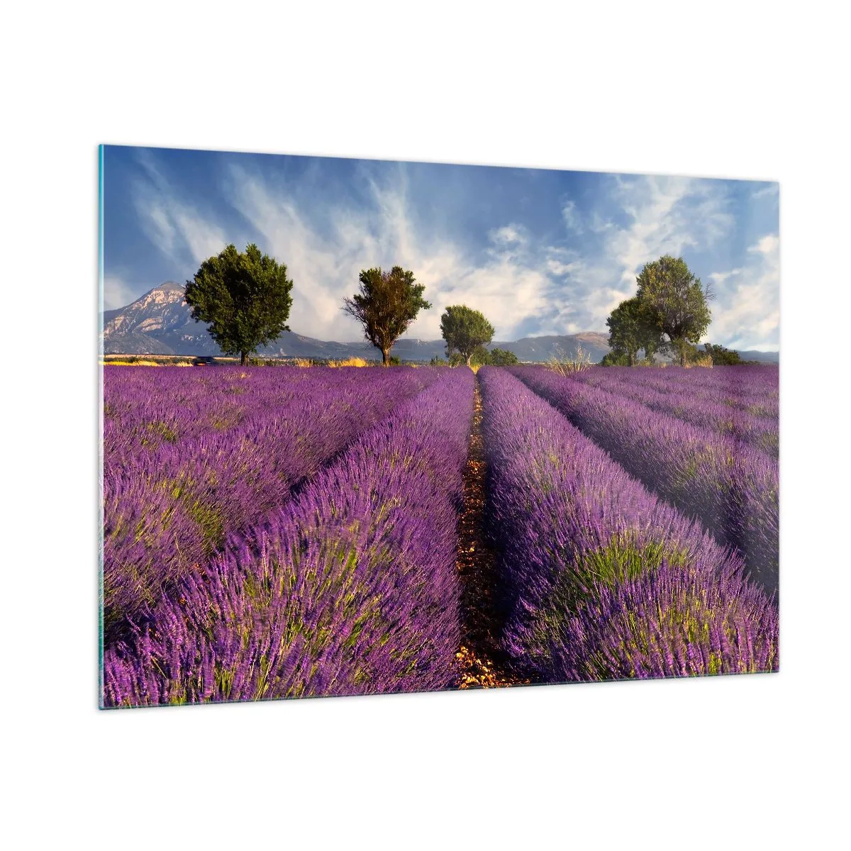 Schilderen op glas - Lavendel velden - 100x70 cm