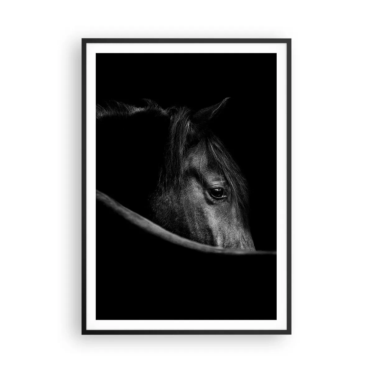Poster in een zwarte lijst - Zwarte Prins - 70x100 cm