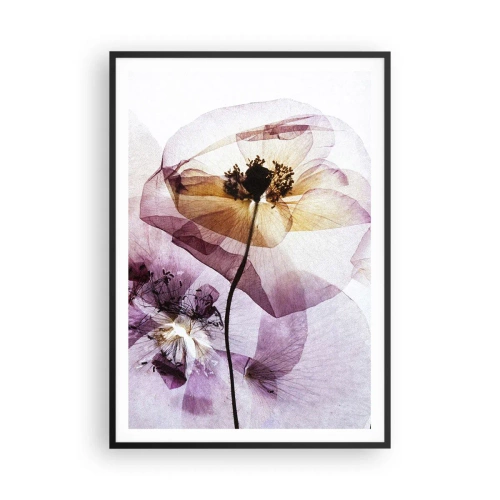 Poster in een zwarte lijst - Transparante lichaamsbloemen - 70x100 cm