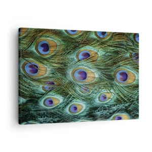 Schilderen op canvas - Details van pauwenveren in rijke kleuren - 70x50cm - Een pauwenooglook - Moderne wanddecoratie voor woonkamer en slaapkamer ARTTOR