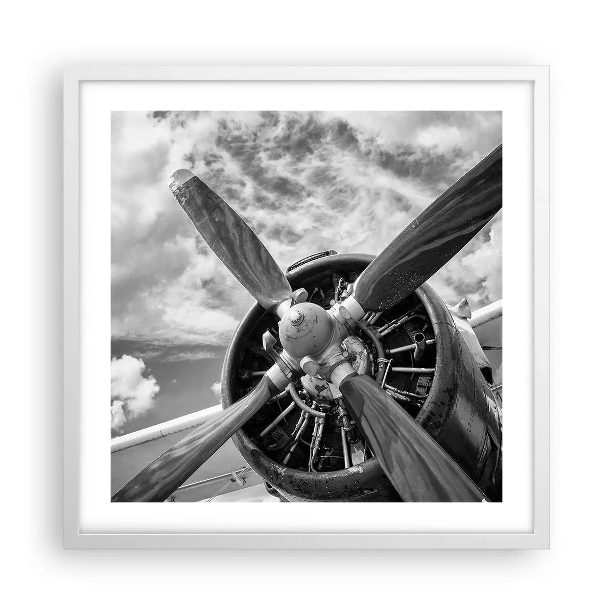 Poster in een witte lijst - Veroveraar van de lucht - 50x50 cm