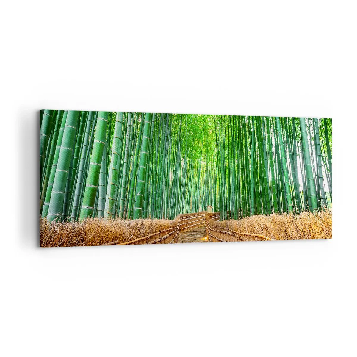 Schilderen op canvas - De essentie van de aziatische natuur - 100x40 cm
