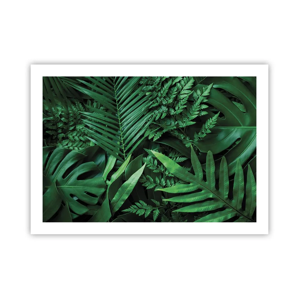 Poster - Ineengedoken in het groen - 70x50 cm