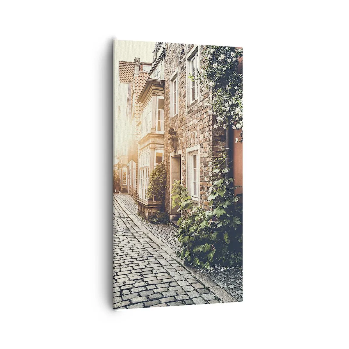 Schilderen op canvas - Rozensteeg in roze gloed - 65x120 cm