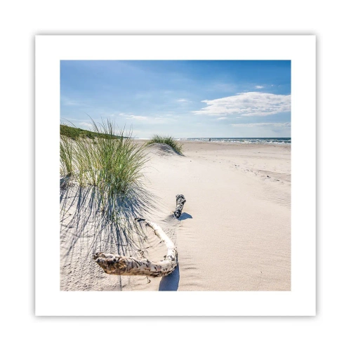 Poster - De mooiste zandstrand? Oostzee-strand - 40x40 cm