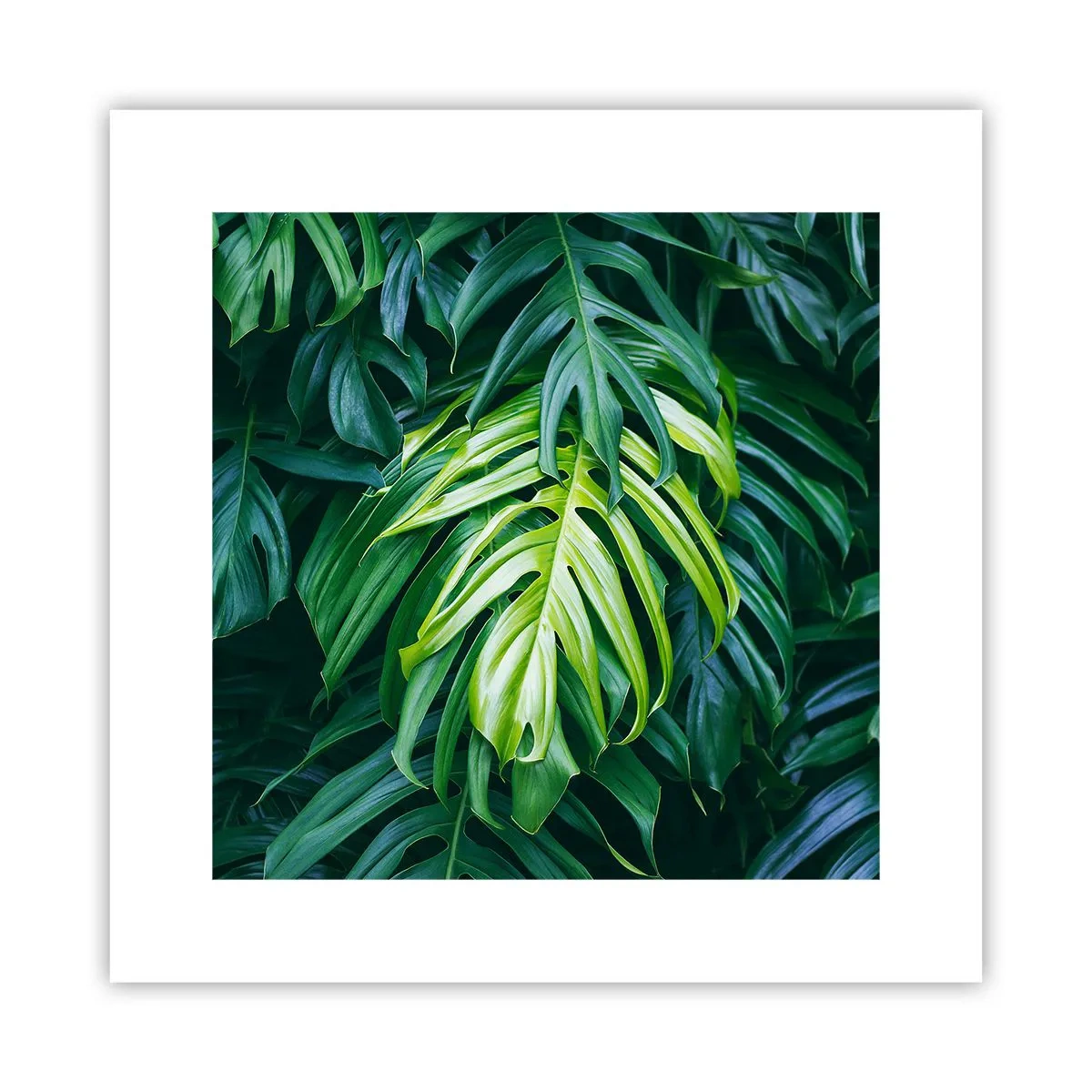 Poster - Dompel jezelf onder in de frisheid - 30x30 cm