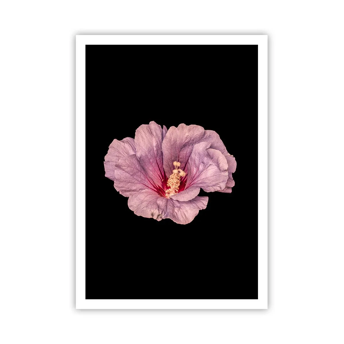 Poster - Recht in het hart - 70x100 cm