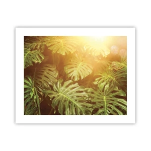 Poster - In het groen treden... - 50x40 cm