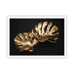 Poster - De schatten van de natuur - 100x70 cm