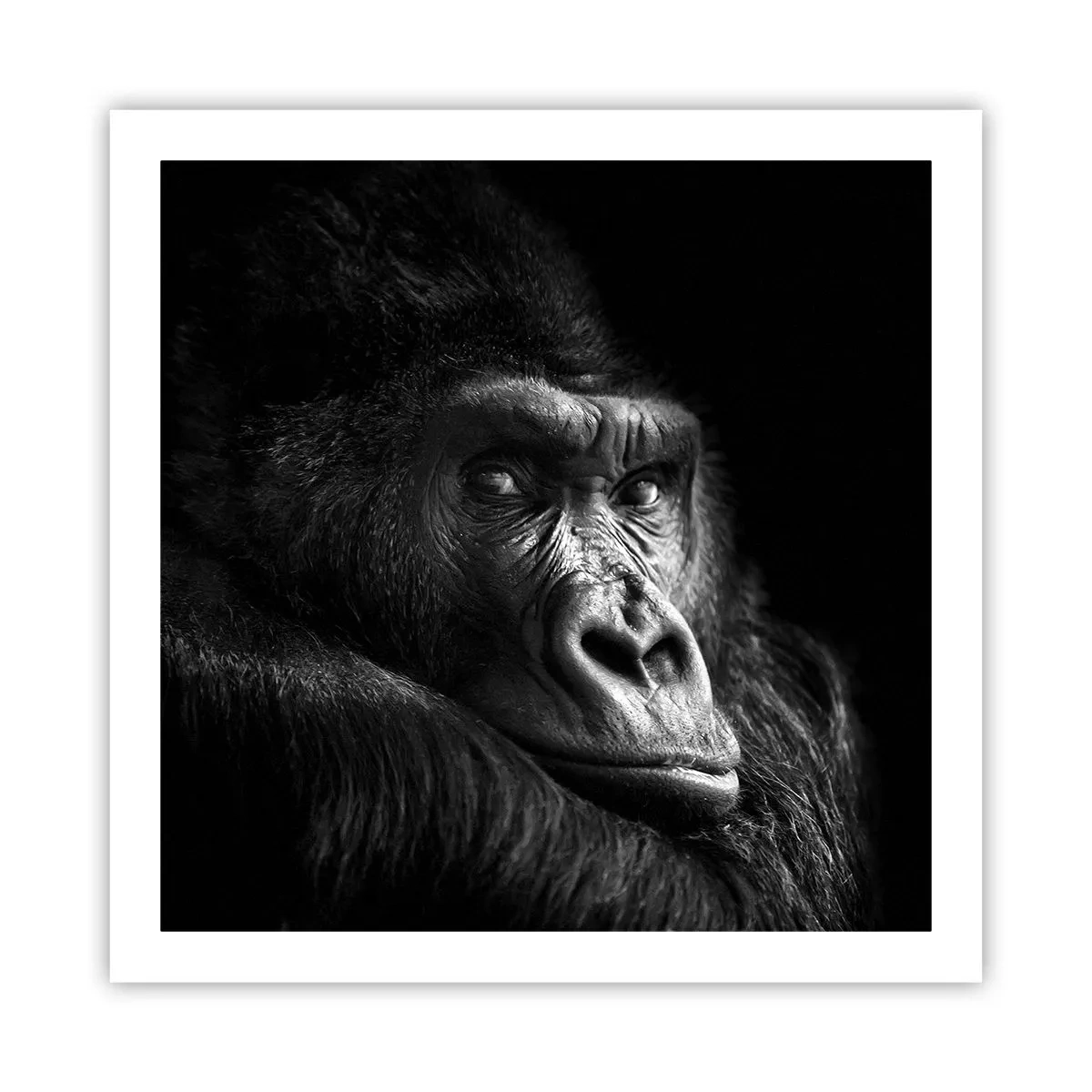 Poster - En waar kijk je naar? - 60x60 cm