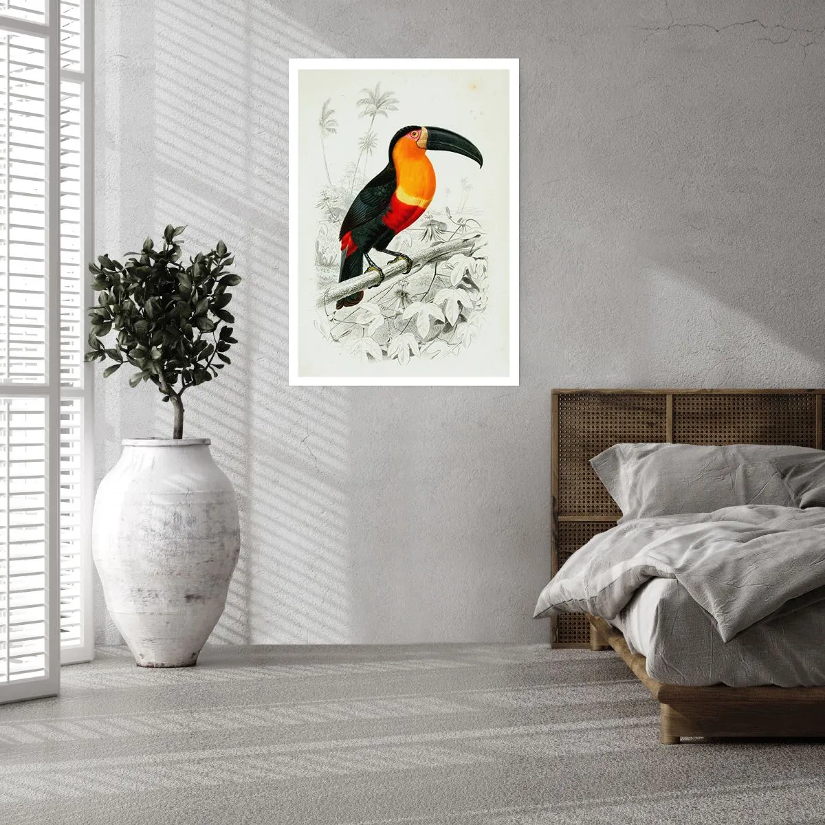 Poster - Kleuren van vogels - 40x50 cm