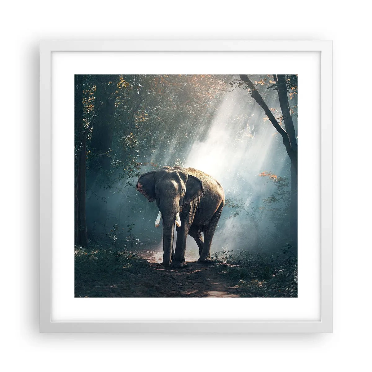 Poster in een witte lijst - Een ontspannen wandeling - 40x40 cm