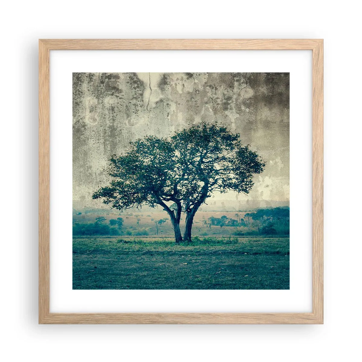 Een poster in een licht eiken lijst - Een appelboom op een blauw veld? - 40x40 cm