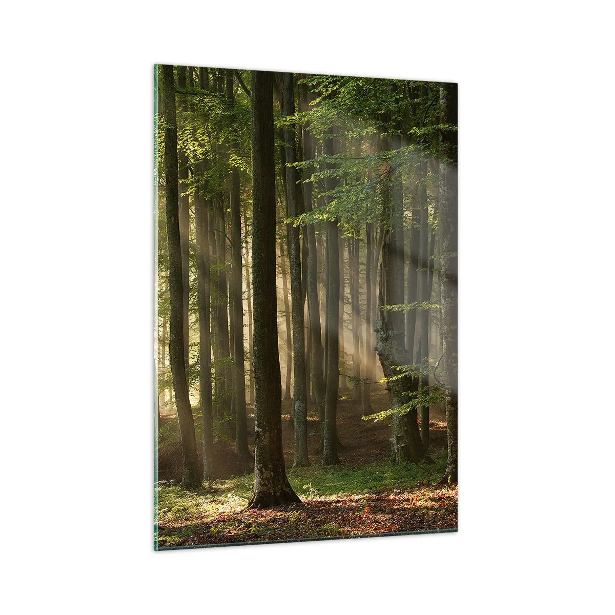 Schilderen op glas - Stralend op een lentemorgen - 50x70 cm