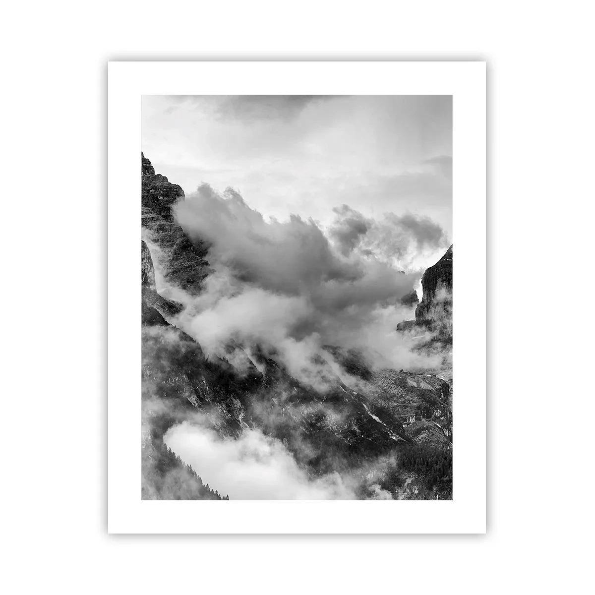 Poster - Mooi en wreed - 40x50 cm