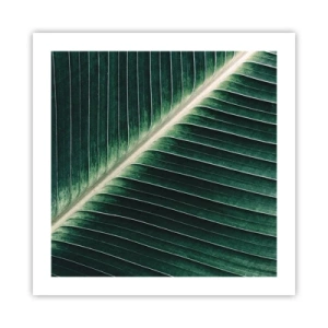 Poster - Het ritme van de natuur - 50x50 cm