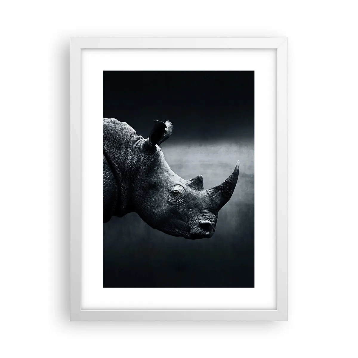 Poster in een witte lijst - Rechts profiel - 30x40 cm