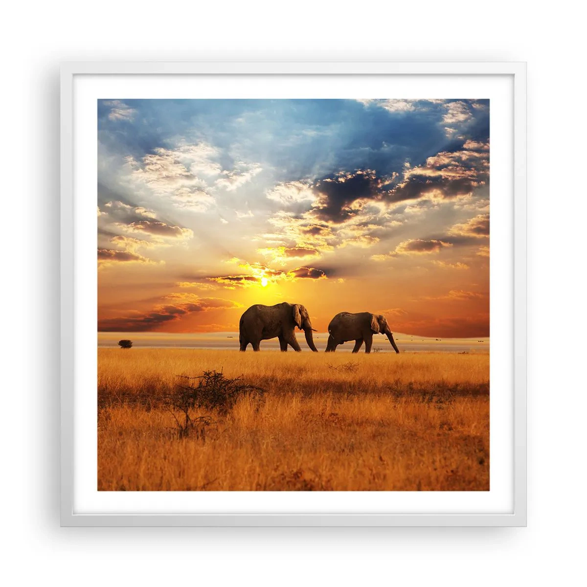 Poster in een witte lijst - Familie wandeling - 60x60 cm