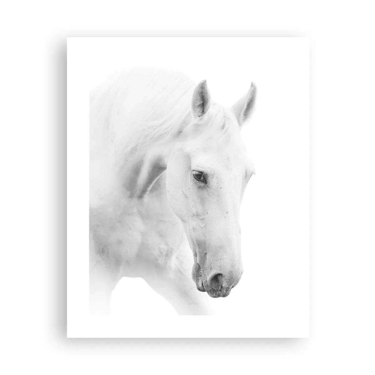 Poster - Is dit vriendschap...? - 40x50 cm