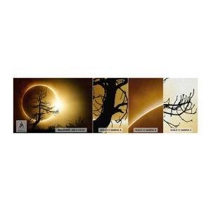 Fotobehang Monster Premium Canvas - Totale zonsverduistering - Verduistering, Boom, Landschap - 100x30 cm