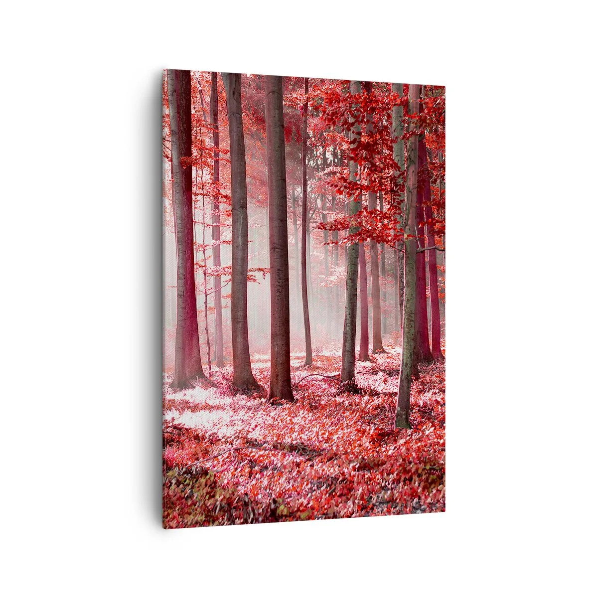 Schilderen op canvas - Rood is net zo mooi - 70x100 cm