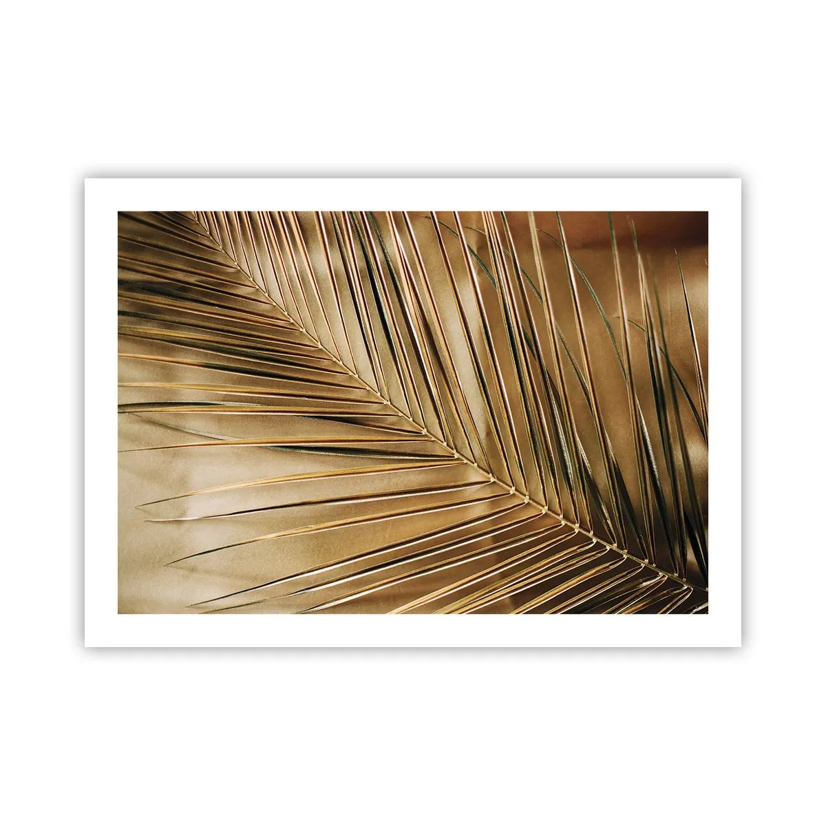 Poster - Natuurlijke zuilengalerij - 70x50 cm
