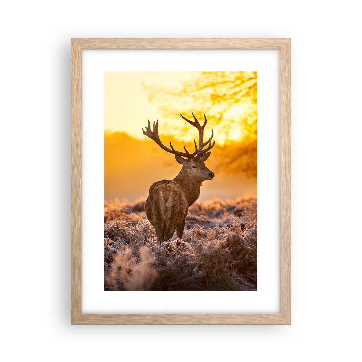 Een poster in een licht eiken lijst - Koning van het herfstbos - 30x40 cm