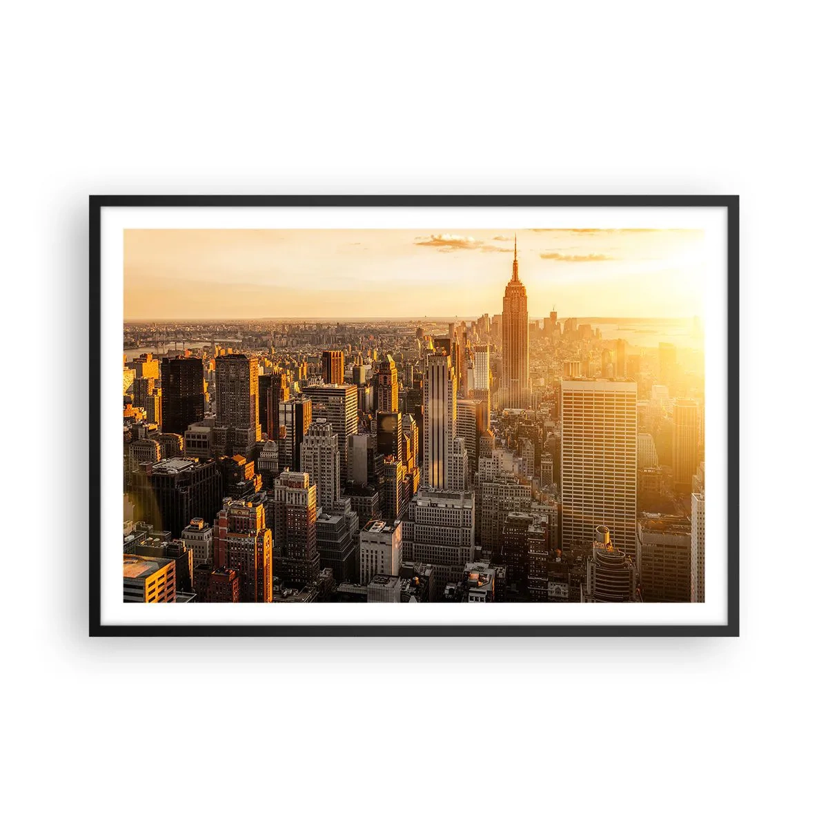 Poster in een zwarte lijst - Groeien in de zon - 91x61 cm