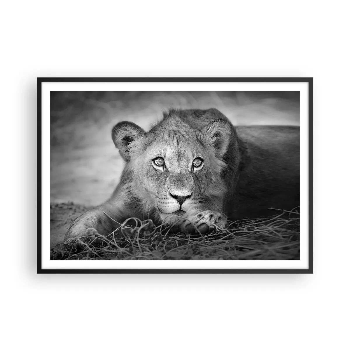Poster in een zwarte lijst - Koninklijke puppy - 100x70 cm