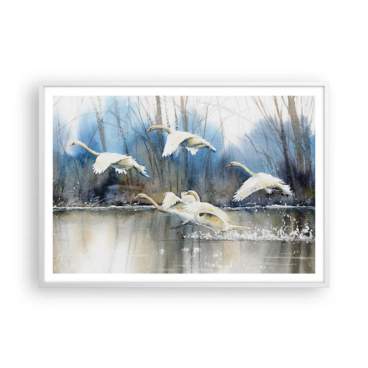 Poster in een witte lijst - Zoals in het sprookje over wilde zwanen - 100x70 cm