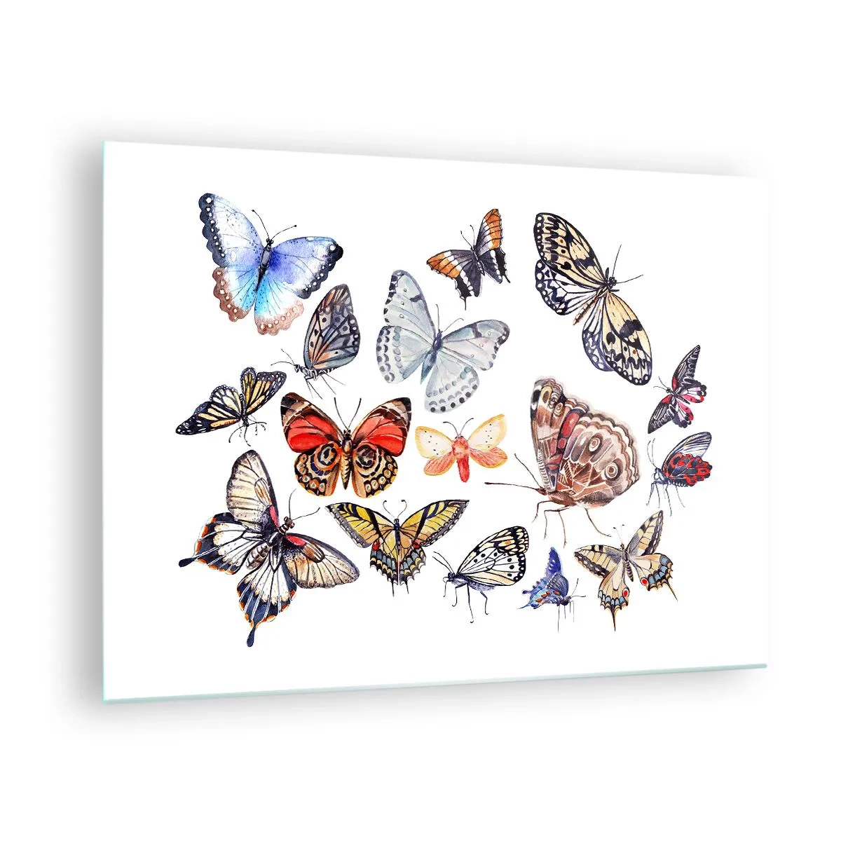 Schilderen op glas - Kleurrijke vlinders in een artistieke compositie - 70x50cm - Kanten, kleurrijke zwerm - Moderne wanddecoratie voor woonkamer en slaapkamer ARTTOR