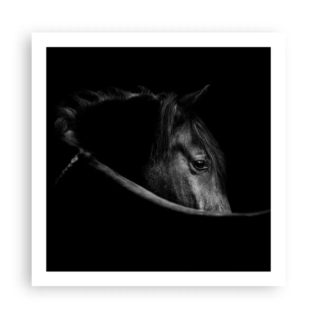 Poster - Zwarte Prins - 60x60 cm