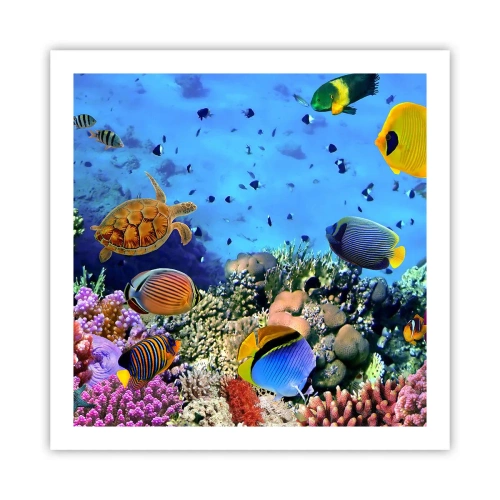 Poster - En wat weten we over het leven... - 60x60 cm