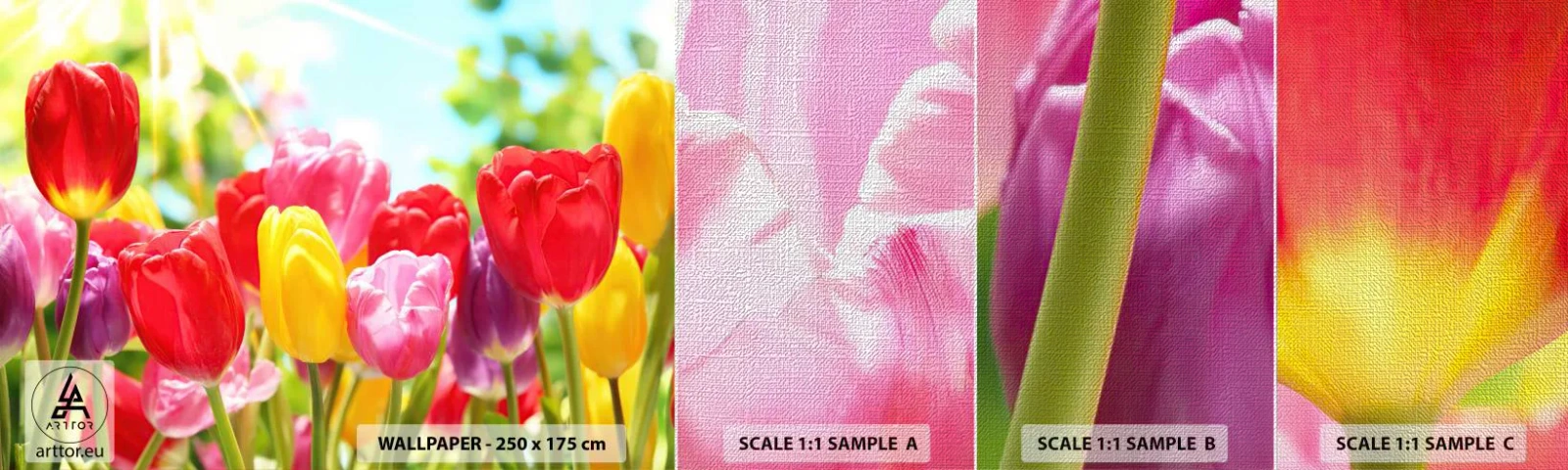 Fotobehang Monster Premium Canvas - Dat zijn wij, de kleuren van mei! - Bloemen, Tulpen, Tuin - 100x30 cm
