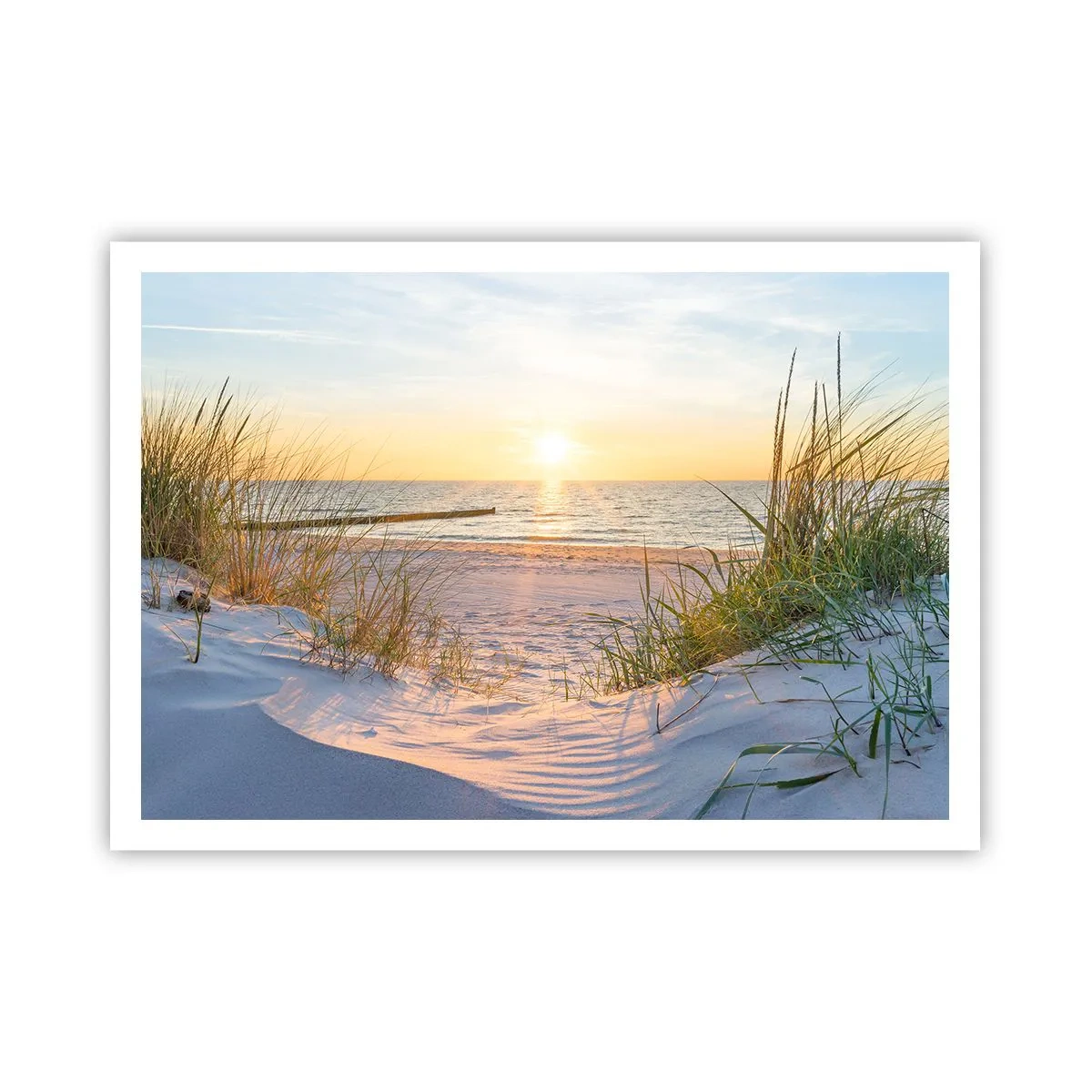 Poster - Het geluid van de zee, het zingen van vogels, een wild strand tussen het gras... - 100x70 cm