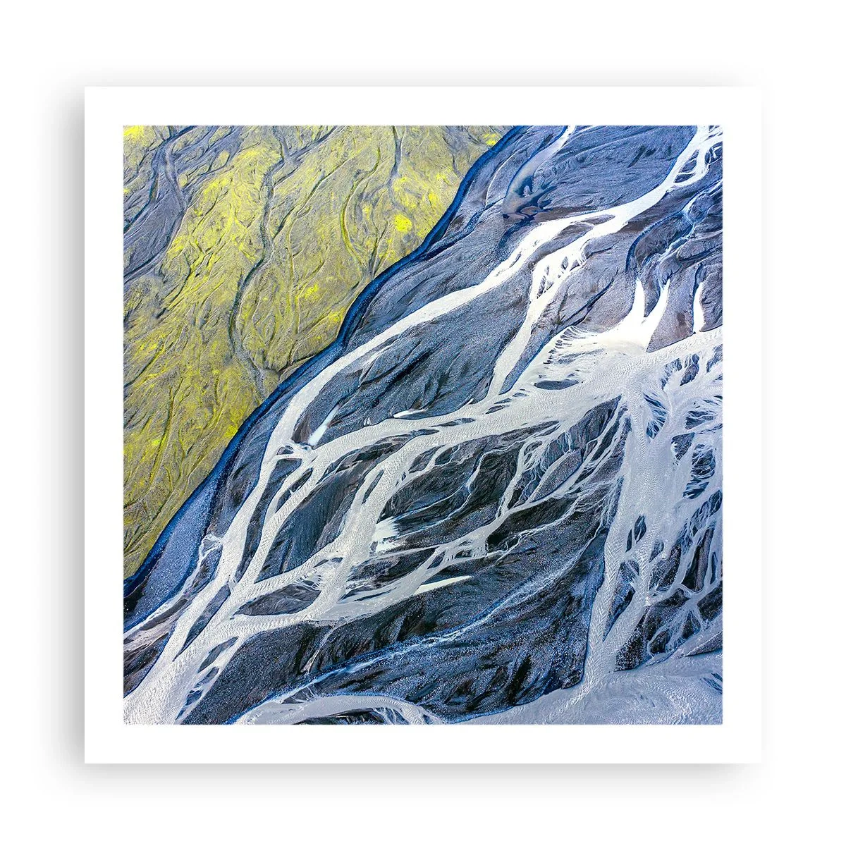 Poster - Rotstekeningen van de natuur - 60x60 cm