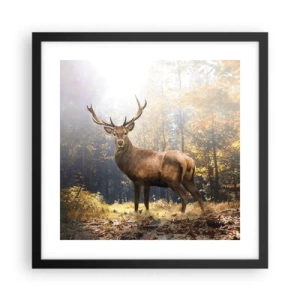 Poster in een zwarte lijst - In volle majesteit - 40x40 cm