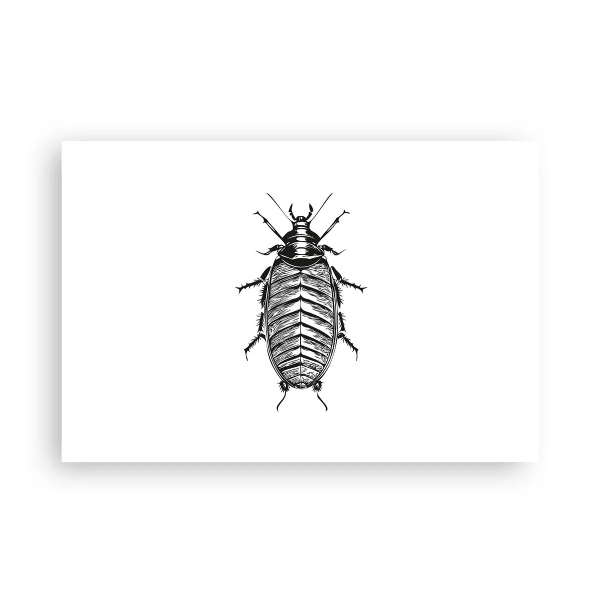 Poster - Wat een exemplaar! - 91x61 cm