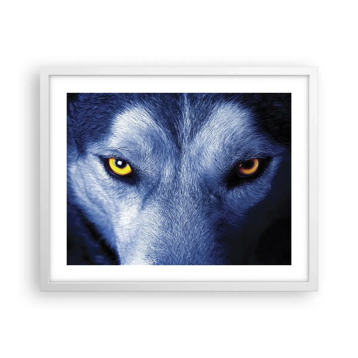 Poster in een witte lijst - Betoverende look - 50x40 cm