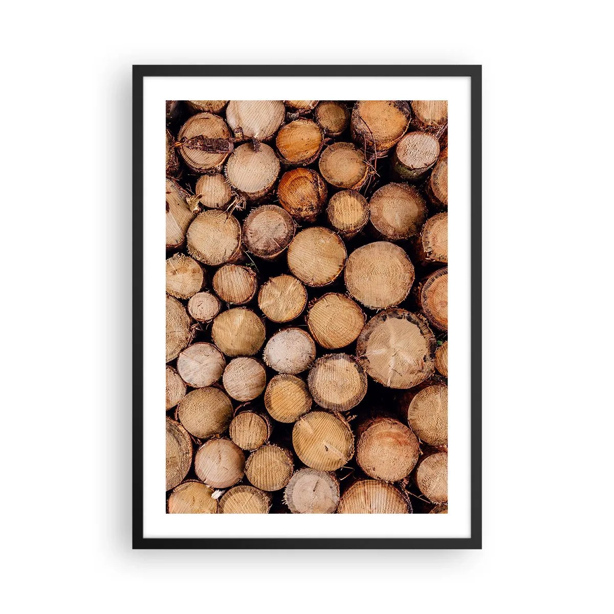 Poster in een zwarte lijst - Natuurlijk gekapte boomstammen in een artistieke opstelling - 50x70cm - Een nieuw begin - Moderne wanddecoratie voor woonkamer en slaapkamer ARTTOR