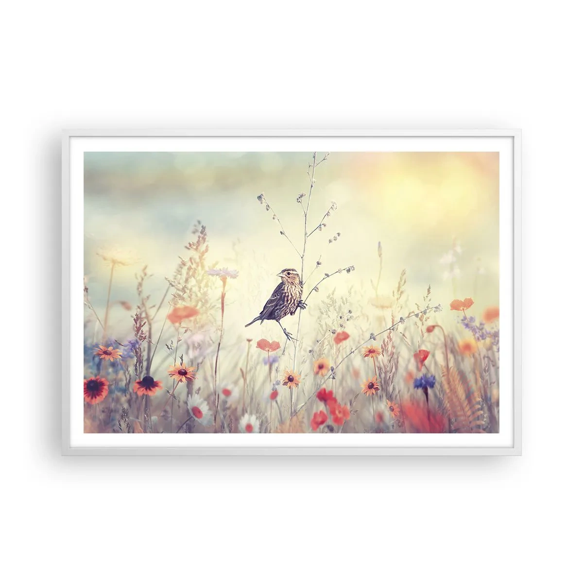 Poster in een witte lijst - Vogelportret met een weiland op de achtergrond - 100x70 cm