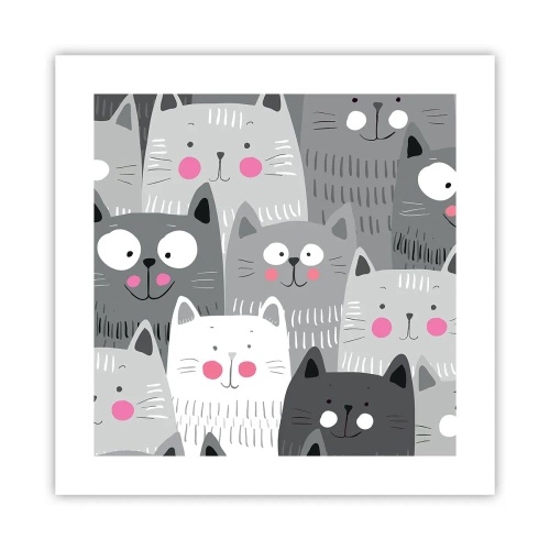 Poster - De wereld van de kat - 40x40 cm